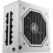 Rebel P20 Gold 750W White