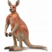 Collecta COLLECTA RED KANGARoo Male figurine