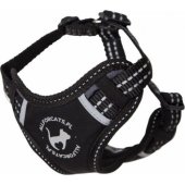All For Dogs ALL FOR CATS SZELKI SPORTOWE S CZARNE