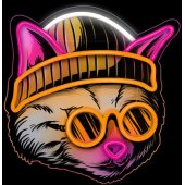 Neon ART LED Cat Dreamer Multicolor FLA04