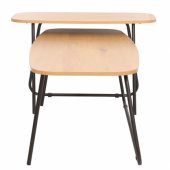 Coffee table DUO 2pcs 120x48xH40cm, 75x40xH48cm, ash/ black