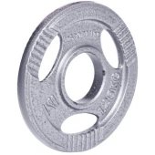Olympic Cast Iron Plate Hamerton 1.25 kg