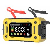 47777 DT128 Rectifier 12V 8A Diagnosis & Maintance