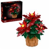 Poinsettia 10370