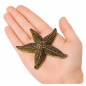 Starfish Rubber Figurine Stretchable Realistic Sea Animal 9.5 cm