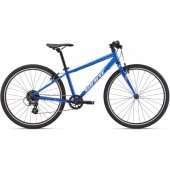 ARX 26 (2025) Cobalt