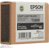 C13T580900Light Black
