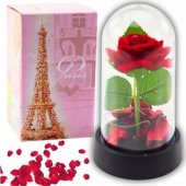 Eternal Rose in Dome with LED Lighting Red with Rose Petals 14x8cm