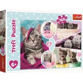 Trefl Puzzle 160 Cute cats