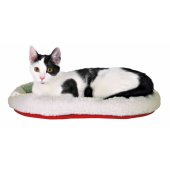 Cuddly Bed for cats, 47*38 cm