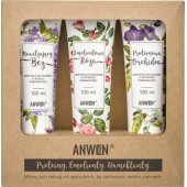Anwen Zestaw 3 odżywek do wysokiej porowatości - 100 ml (ANW-195)