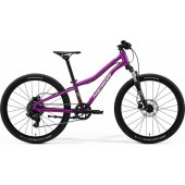 Matts J.24 2026 Silk Purple / White/ Red/ Black