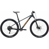 Talon 2 29" Asphalt Green (L)