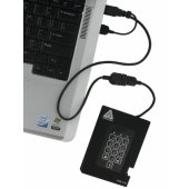 Padlock Fortress 256GB External A25-3PL256-S256F
