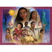 100 dalių Disney Wish dėlionė