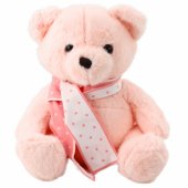 Plush Mascot Cuddly Toy Teddy Bear With Scarf Pink 35cm