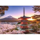 1000 Cherry Blossom, Japonija 17090
