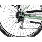 28" Wagant 5 (2023) 19" / M Green