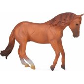 Collecta Australijos darbinis eržilas, figūrėlė (004-88712)