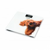 ZBS1010 Crazy dog