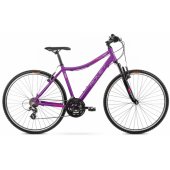City bike Orkan D 2025 M violet-pink