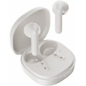 T41 White