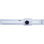 Insize Przymiar kreskowy MLPN L-250 (7120-250A)