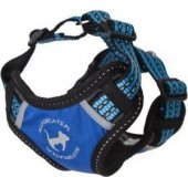All For Dogs ALL FOR CATS SZELKI SPORTOWE S NIEB.