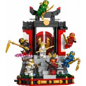 71866 Ninja Character Display
