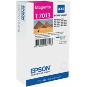 T7013 Magenta