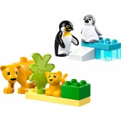 10442 Penguins and Lions