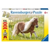 Little Pony 100psc