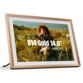 D14 Champagne Gold