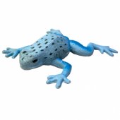 _7658411 Stretchy toy, Blue Poison Dart Frog
