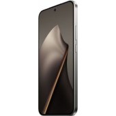 15T 12/ 512GB pilka