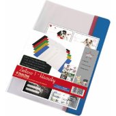 Panta Plast Okładki zestaw 3 klasisty 0302-0129-00