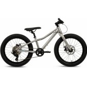 Rower MTB Batch Alu 20” silver