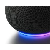 Google Home Speaker Hazel