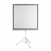PSMT-135-2 Projector Screen 240x240cm