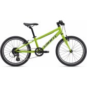 ARX 20 (2025) Lime Punch