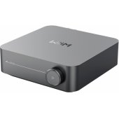_8278637 WiiM LPWIAMPP Amp Pro, kelių kambarių srautinio perdavimo stiprintuvas, tamsiai Gr