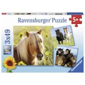 Ravensburger dėlionė 3x49 Mieli žirgai (080113)