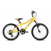 Rambler 20 KID 2 2024 Yellow/ Gray