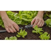 Micro-Drip-System T formos jungtis purškimo purkštukams, 13 mm (1/ 2"), jung