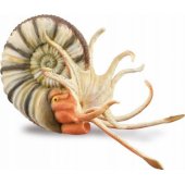 Collecta Pleuroceras amonito figūrėlė - CollectA - 88902 - XL