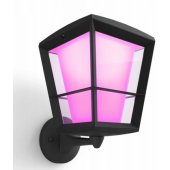 Econic Outdoor Wall Light Black