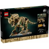 77985 Dinosaur Fossils: Triceratops