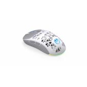 EY6A019 White