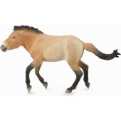 Collecta Przewalski Stallion figurine (88602)