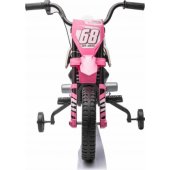 Motor PANTONE 361C Pink